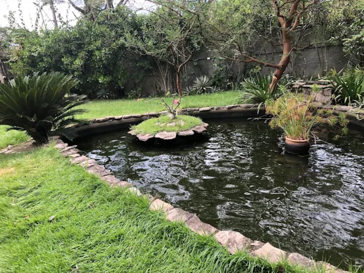 Jardim com lago do Recanto dos Amigos